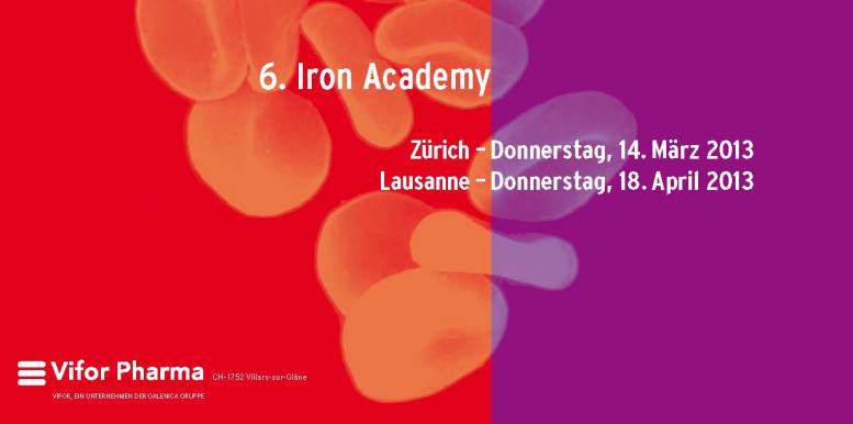 Vorankündigung Iron Academy 2013
